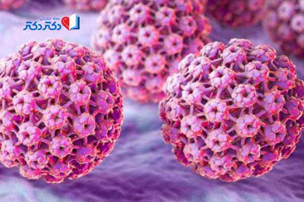 ویروس hpv عامل سرطان دهانه رحم
