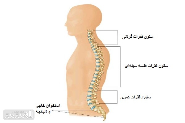 شکستگی مهره کمر 2