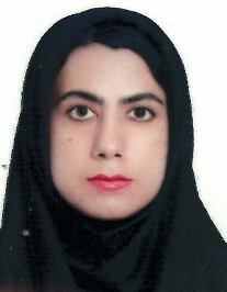 زهرا بدیهی کارشناسی ارشد روانشناسی تربیتی شیراز