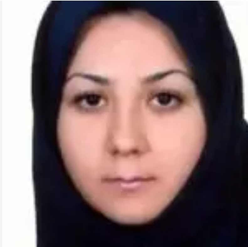 راهله زاده حسین ویرانی کارشناسی مامایی مشهد
