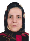 دکتر مهین میرزا جان زاده
