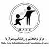 دکتر امیر آرامی
