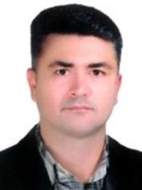 سیدرضا سیدحسینی تخصص بیماری‌های داخلی سیرجان