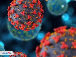 کرونای تیغی چیست؟ علائم و سریع ترین راه درمان