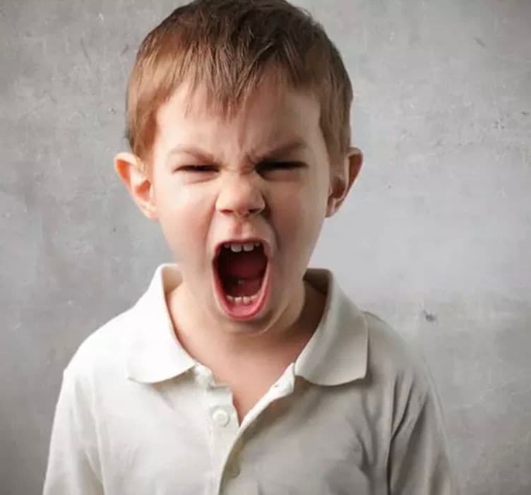 alt کودک پرخاشگر