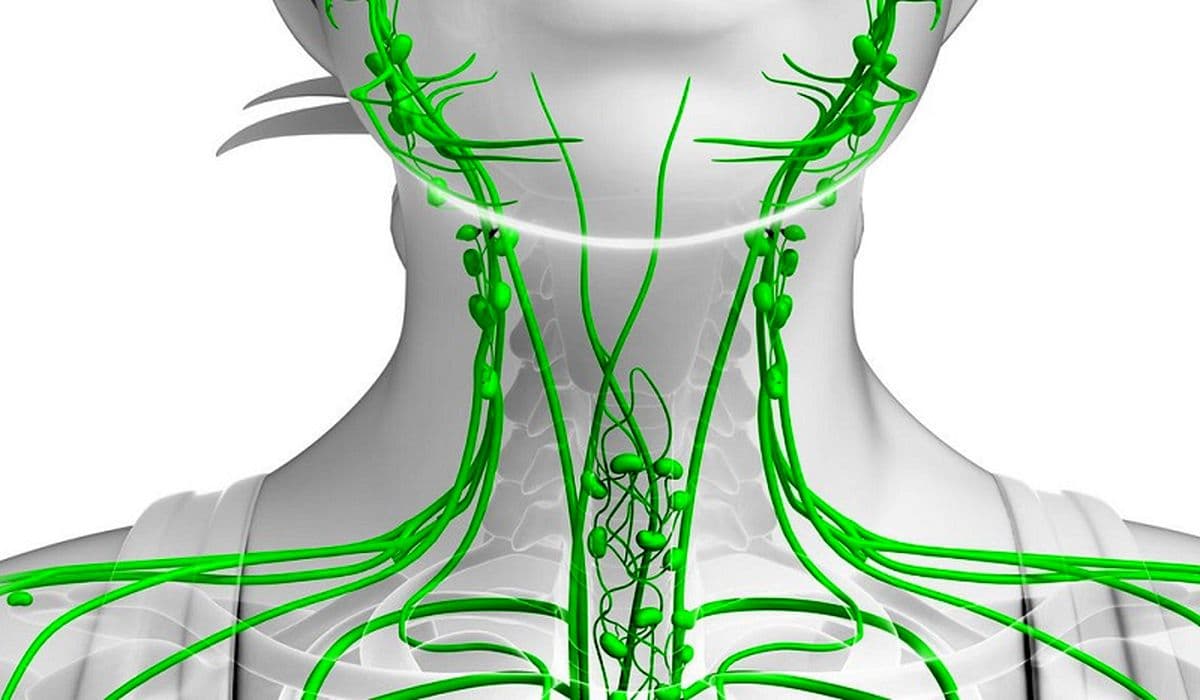 alt غدد لنفاوی