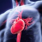 عوامل و راهکار های ساده پیشگیری از تپش قلب بعد از غذا خوردن