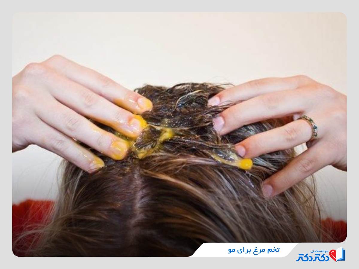 مزایای تخم مرغ برای مو