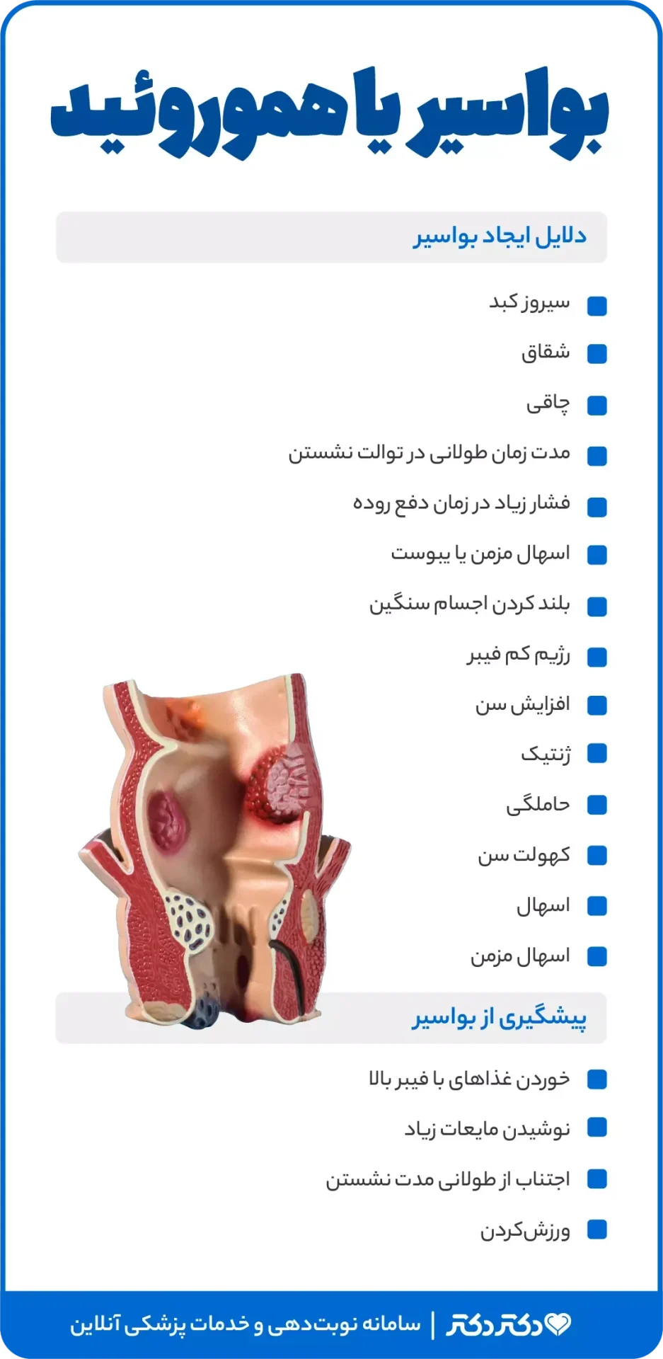 اینفوگرافیک دلایل ایجاد و پیشگیری از بواسیر 