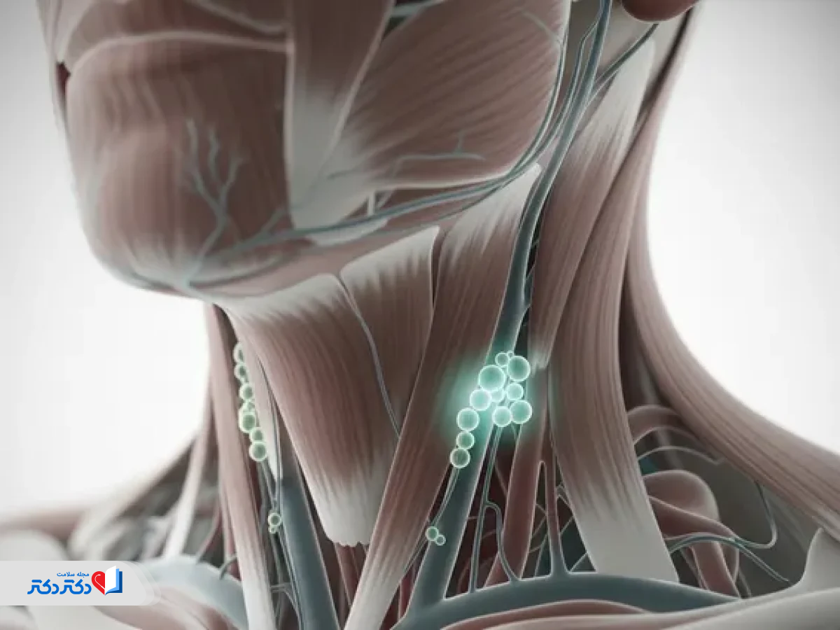 غدد یا گره‌های لنفاوی