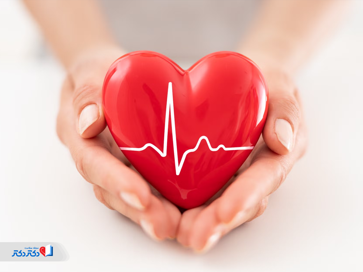 تأثیر هورمون پاراتیروئید بر عملکرد صحیح قلب