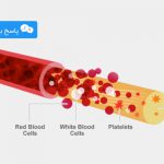 خون از چه ترکیبی ساخته شده است و تغییر آنها چه عوارضی دارد