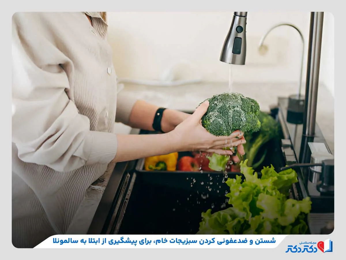 بررسی روش‌های پیشگیری از سالمونلا مانند ضدعفونی کردن سبزیحات خام