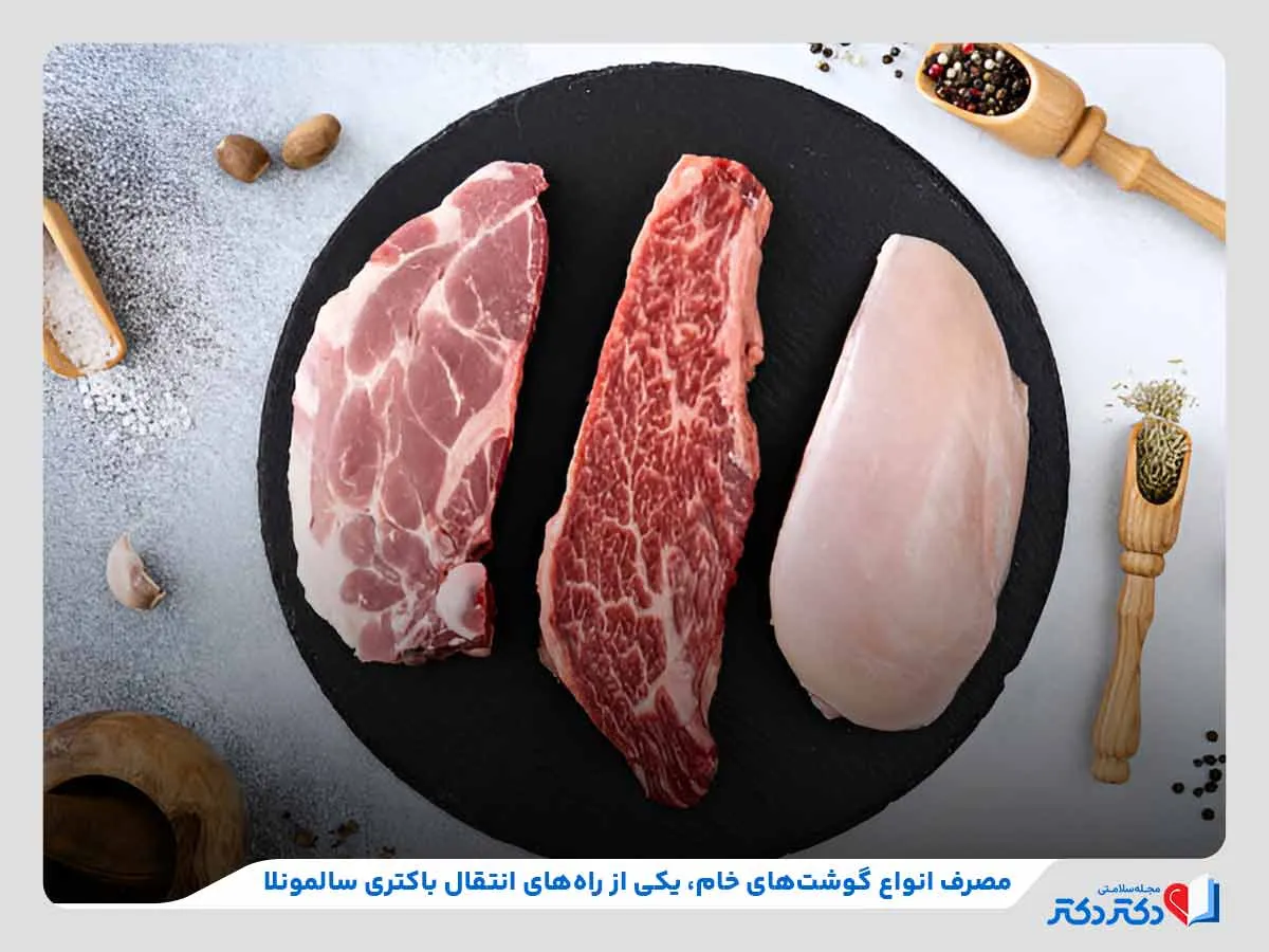 روش‌های انتقال باکتری سالمونلا مانند مصرف گوشت‌های خام