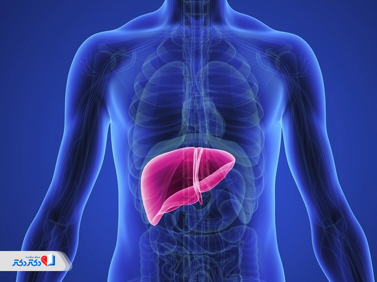 سونوگرافی کبد برای تشخیص مشکلات و بیماری‌ها