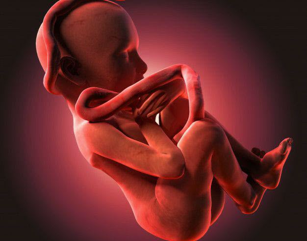 عفونت‌های بارداری چه تاثیری بر روی جنین دارد؟