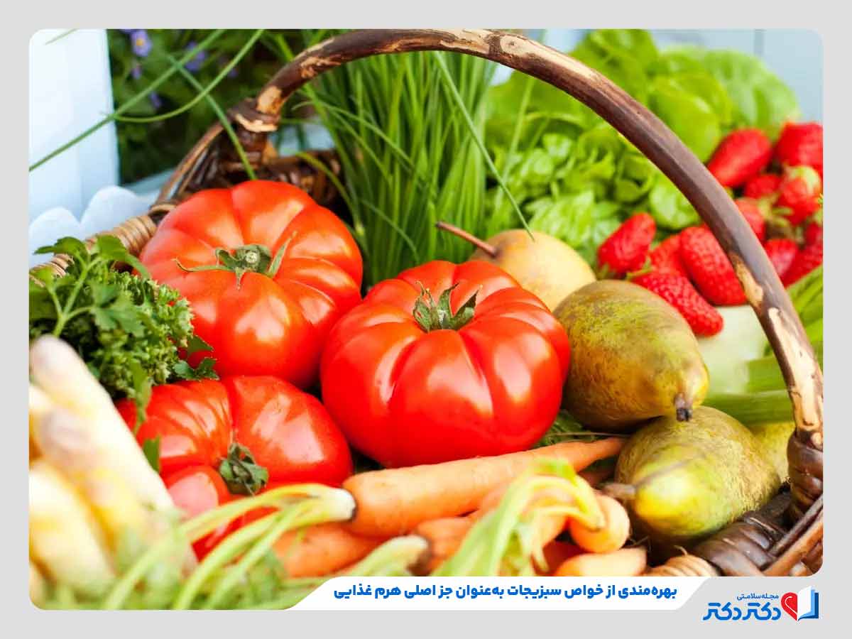 فرد در حال قرار دادن سبزیجات در سبد غذایی خانواده برای بهره‌مندی از خواص سبزیجات