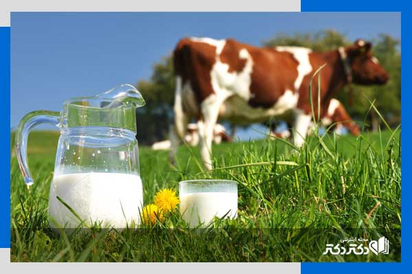 حساسیت غذایی به شیر گاو