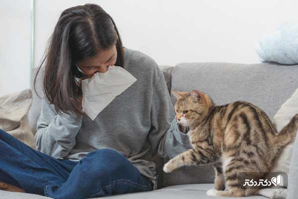 علائم آلرژی به گربه