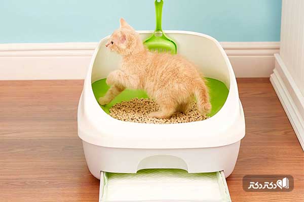 باکس بهداشتی مخصوص برای ادرار و مدفوع گربه ها