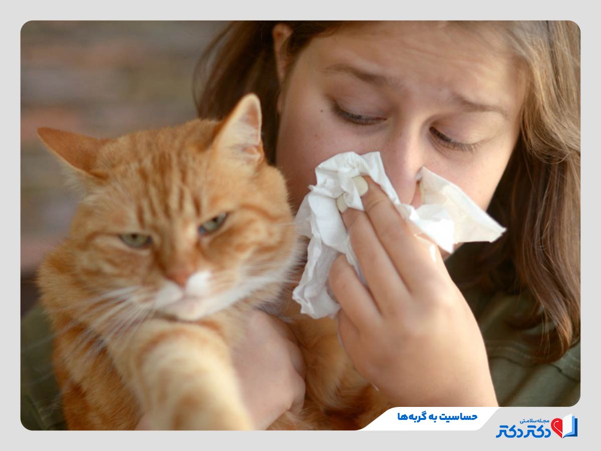 زن مبتلا به آبریزش بینی و اشک به دلیل آلرژی به گربه ها