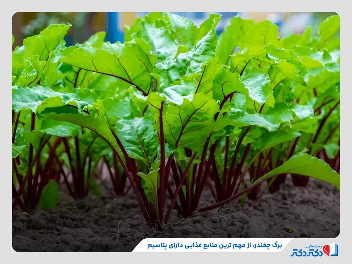 مصرف برگچغندر پخته برای تامین پتاسیم مورد نیاز بدن