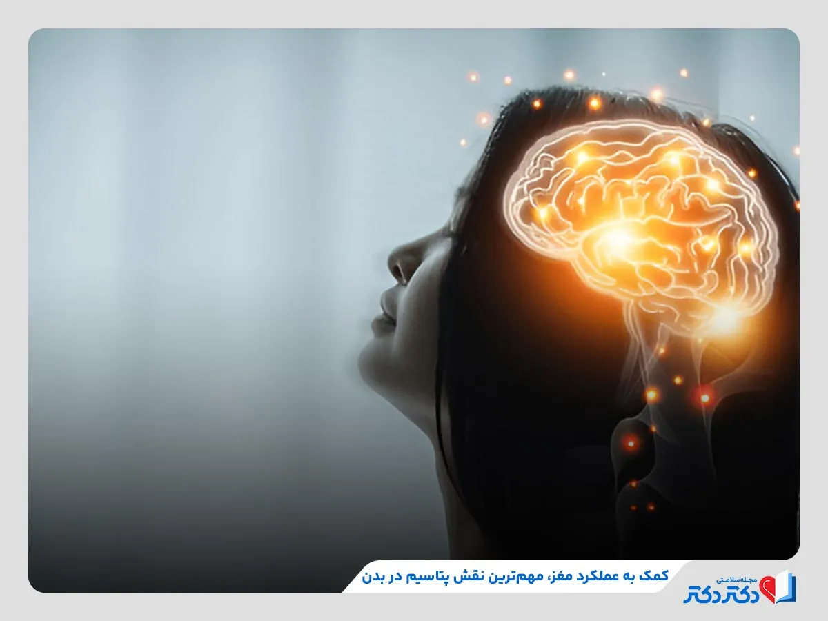مصرف پتاسیم برای کمک به عمکلرد مغز و سیستم عصبی