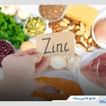 معرفی مهم‌ترین منابع غذایی زینک؛ میزان نیاز روزانه بدن + نکات مهم