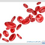 نقش آهن در بدن چیست؟ بررسی خواص آهن برای بدن