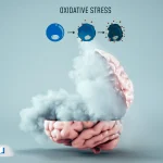 استرس اکسیداتیو چیست؟ علائم، علل و درمان با آنتیاکسیدانها