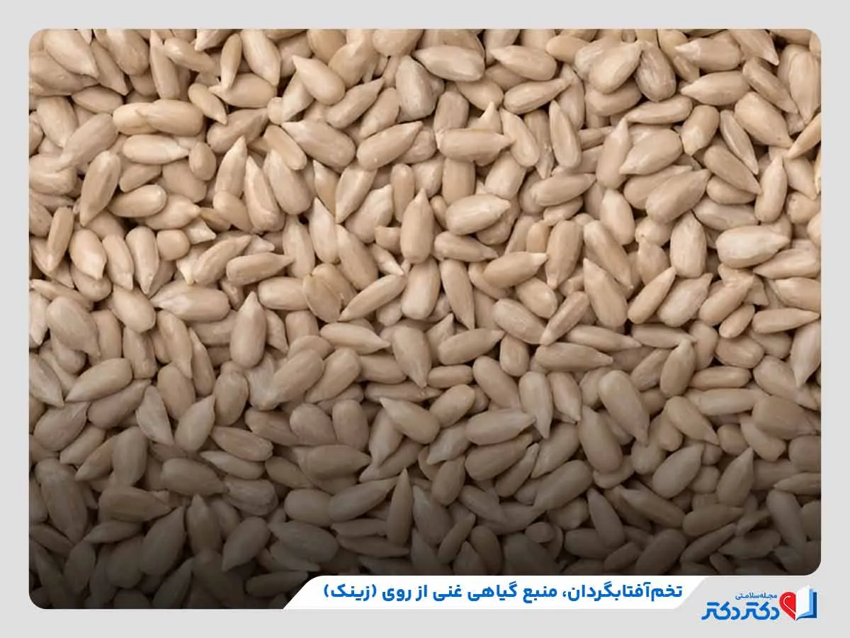 تخم آفتابگردان یکی از مهم‌ترین منابع گیاهی دارای زینک