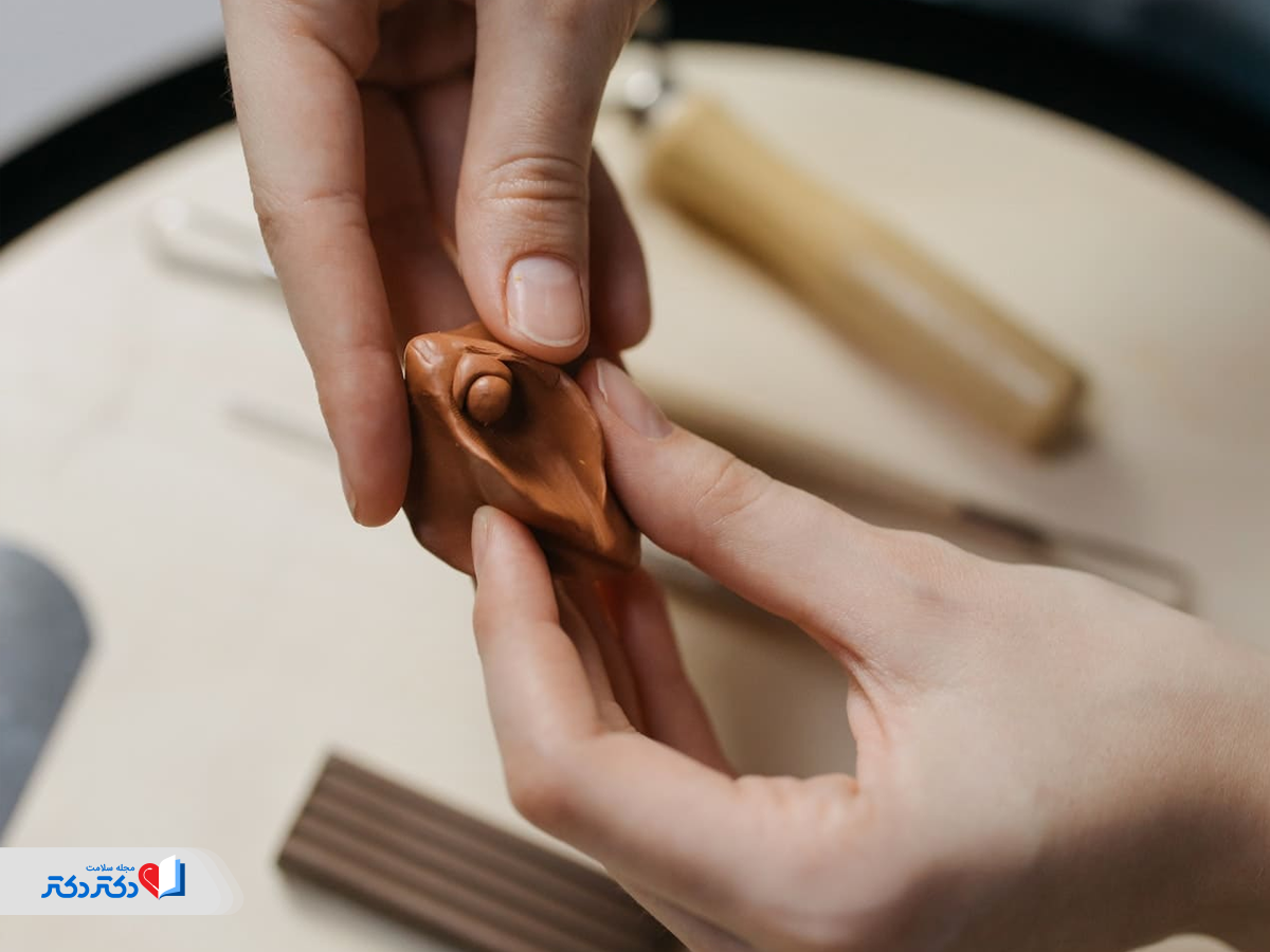 فرج بخش بیرونی اندام تناسلی