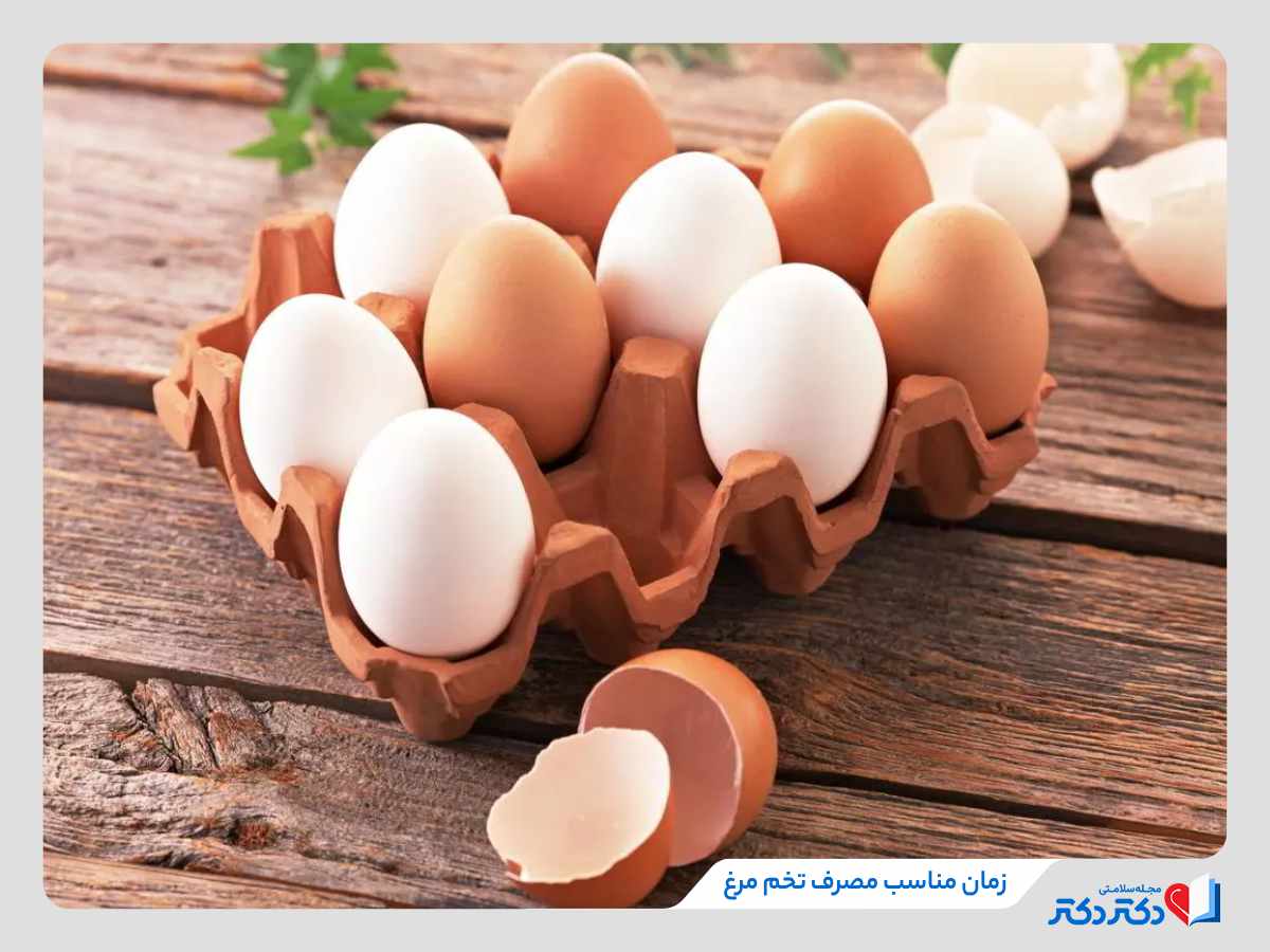 خواص تخم مرغ و زمان مناسب مصرف آن در روز