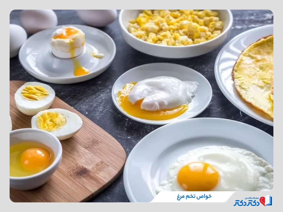 فواید تخم مرغ برای بدن