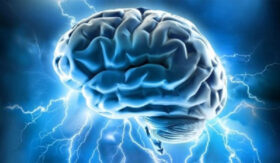اختلالات مغزی چیست؛ انواع، علائم، تشخیص و درمان ها