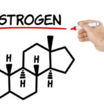 روش های طبیعی افزایش استروژن در بدن + راهکارها
