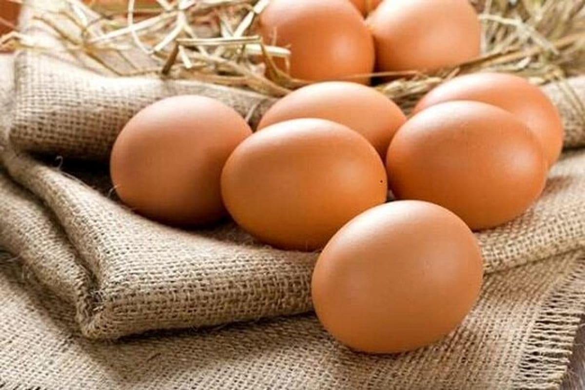 تخم مرغ برای سلامت چشم