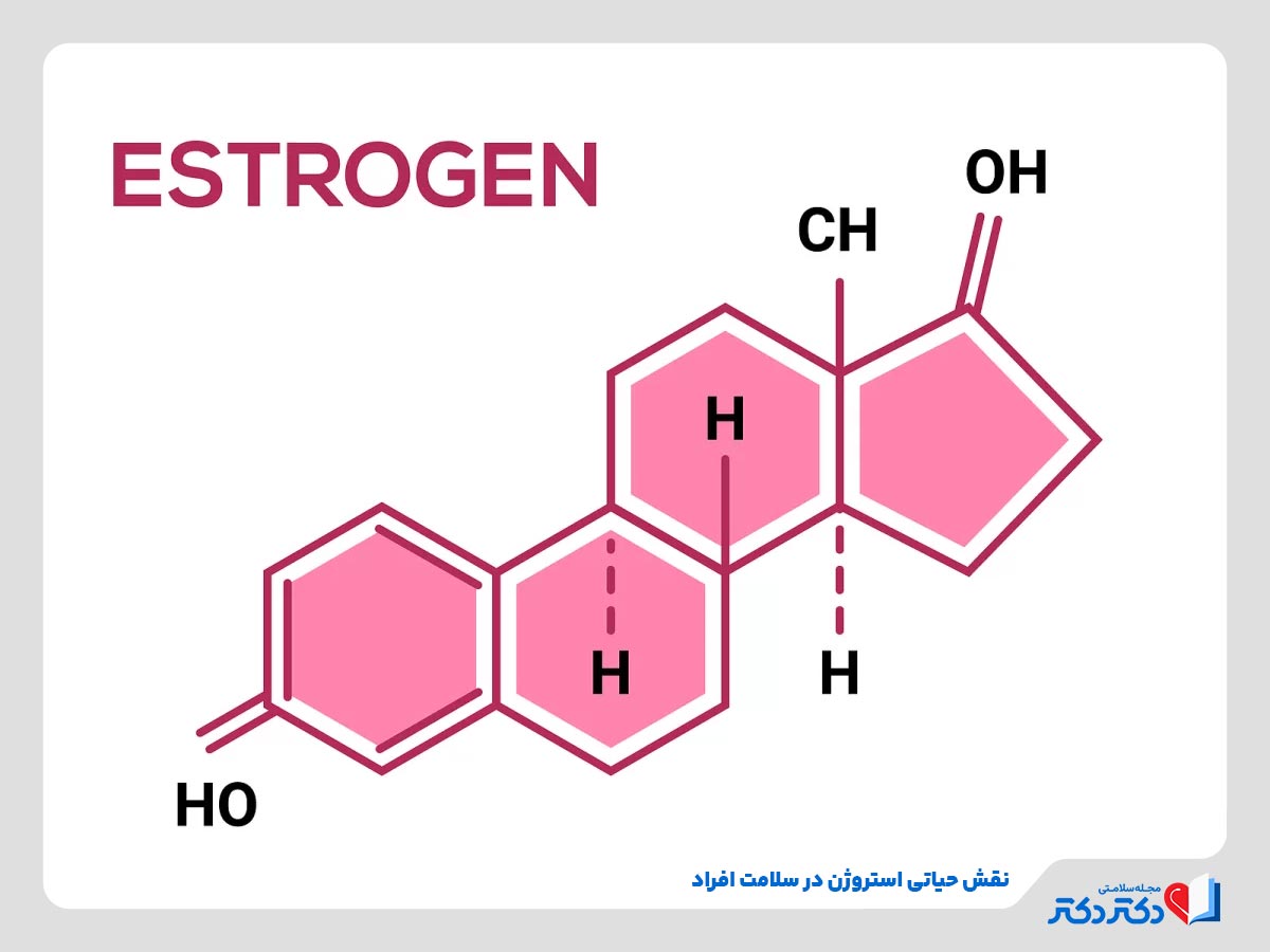 اهمیت افزایش استروژن در بدن