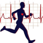 چرا ضربان قلب ورزشکاران کمتر است؟