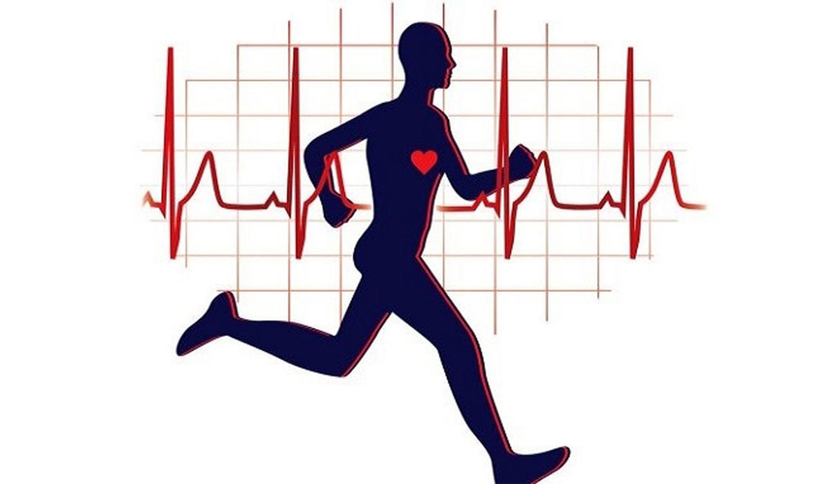 چرا ضربان قلب ورزشکاران کمتر است؟