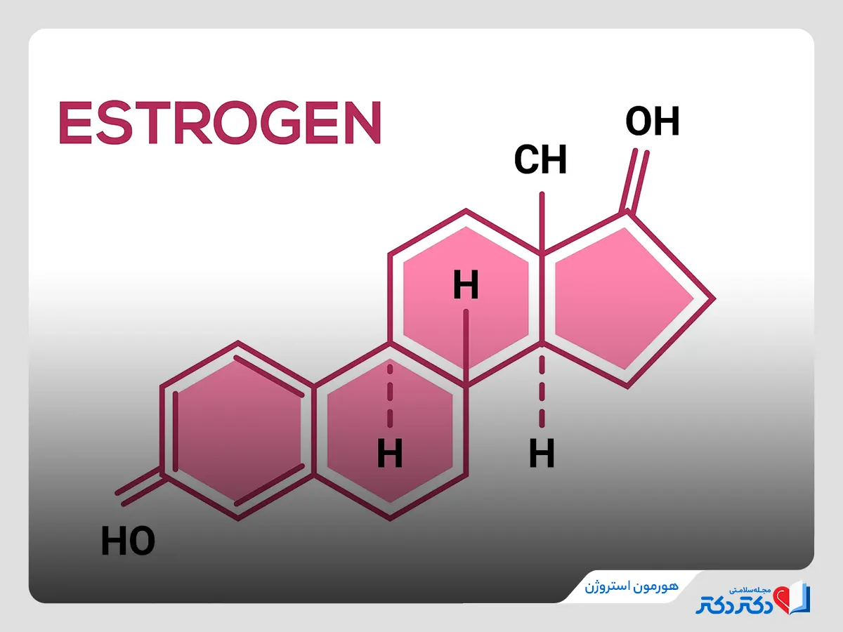 استروژن در انواع هورمون زنانه