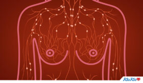 ساختار سینه چیست؛ با آناتومی پستان مرد و زن آشنا هستید؟