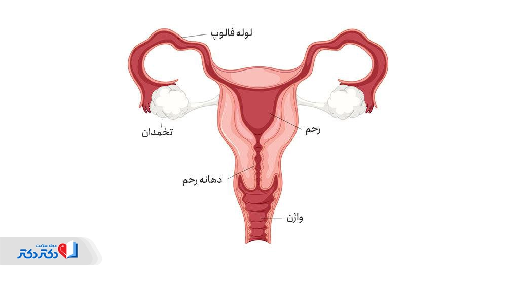 جا ماندن کاندوم در واژن حین رابطه جنسی