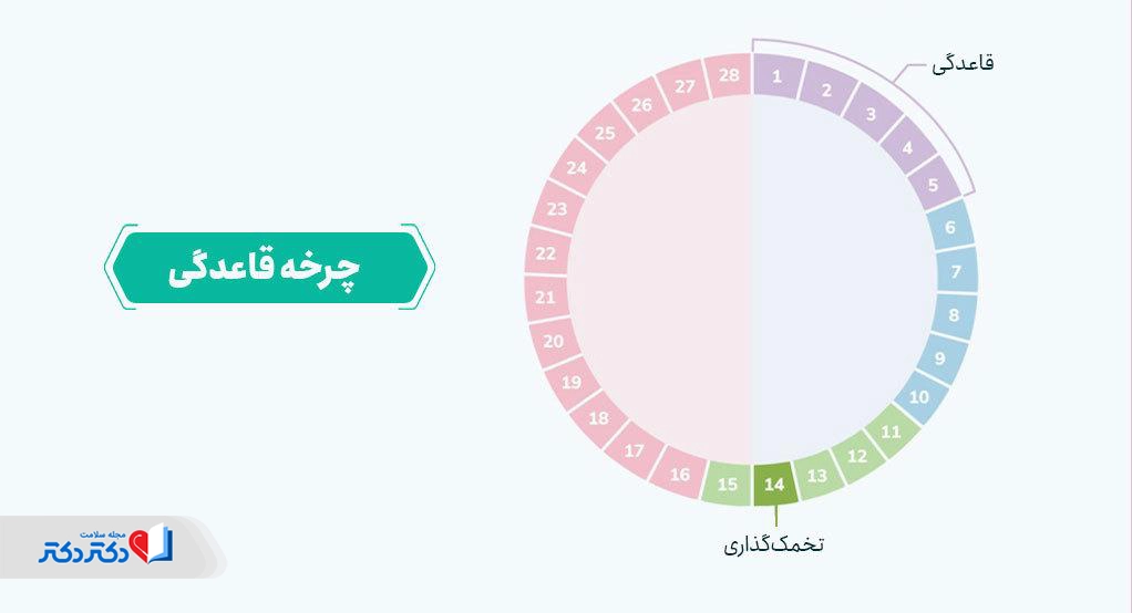ترشحات قهوهای قبل و بعد از پریود و در زمان تخمکگذاری طبیعی است.