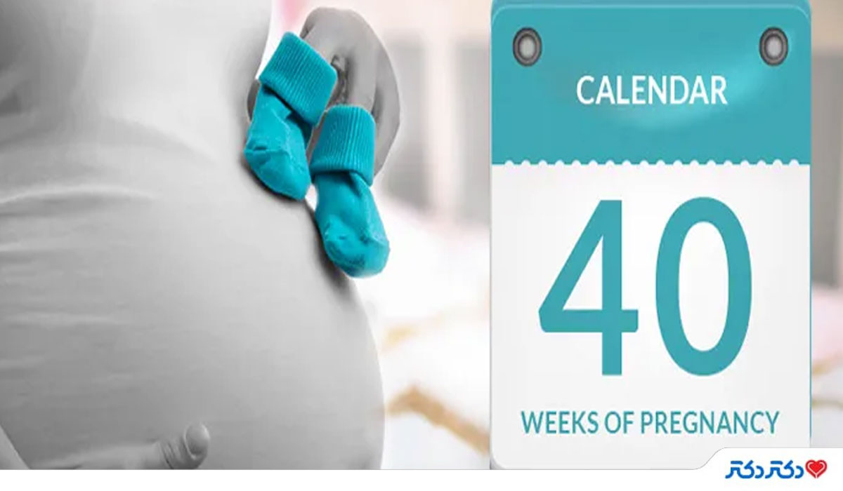 تقویم بارداری هفته به هفته