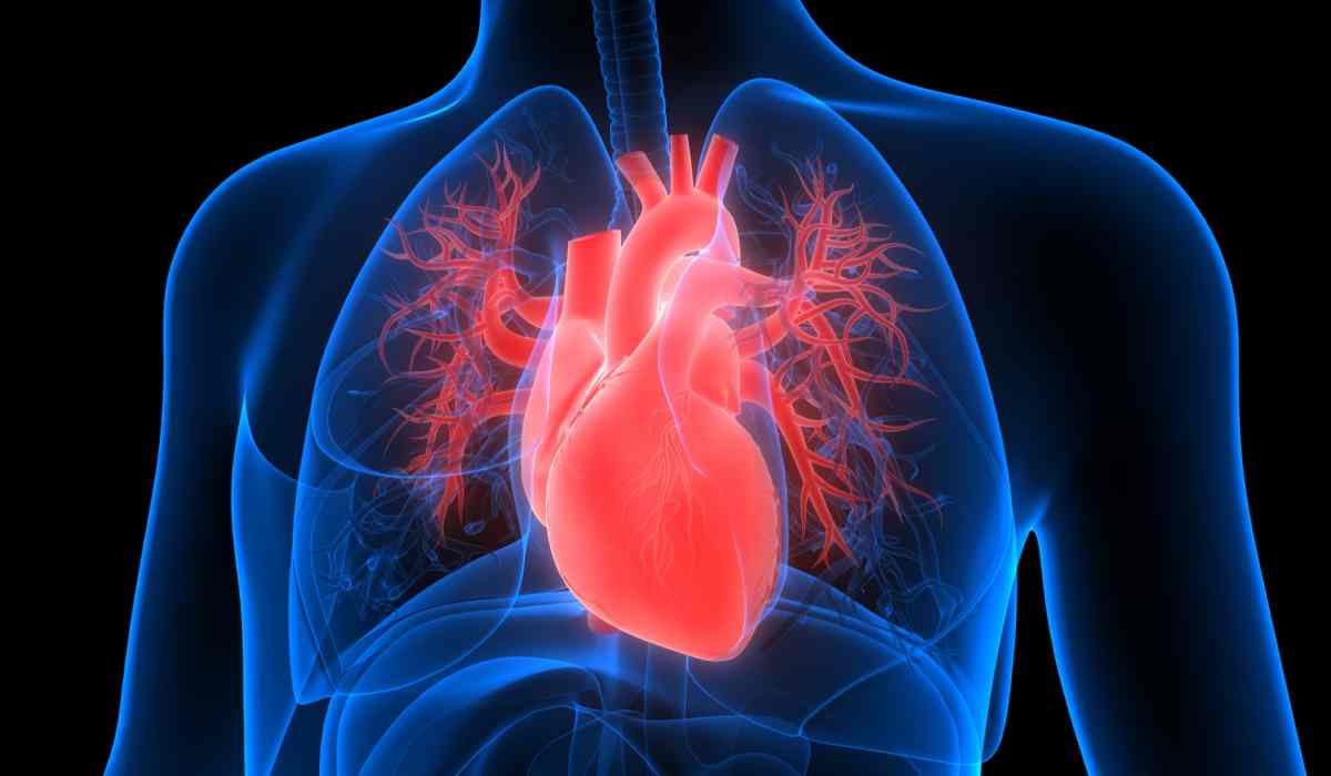 آیا نارسایی احتقانی قلب باعث مرگ می‌شود؟ 