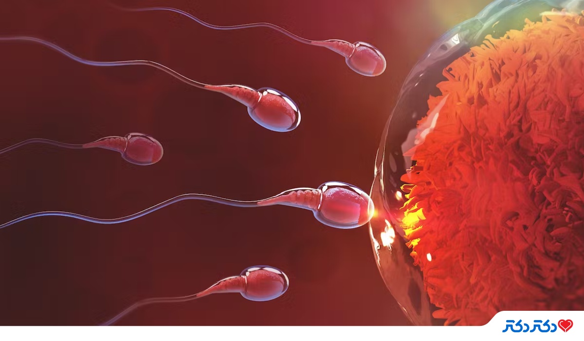 کیفیت اسپرم چطور تعیین می شود