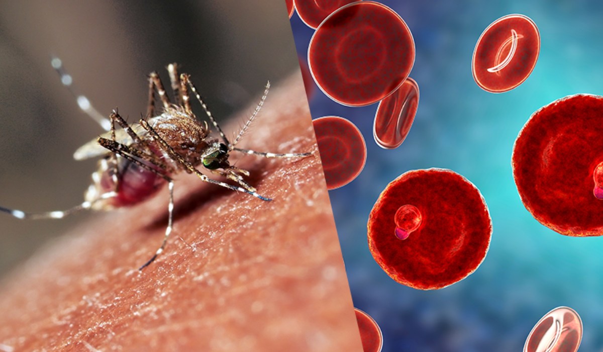 وبا تب کریمه کنگو مالاریا در ایران