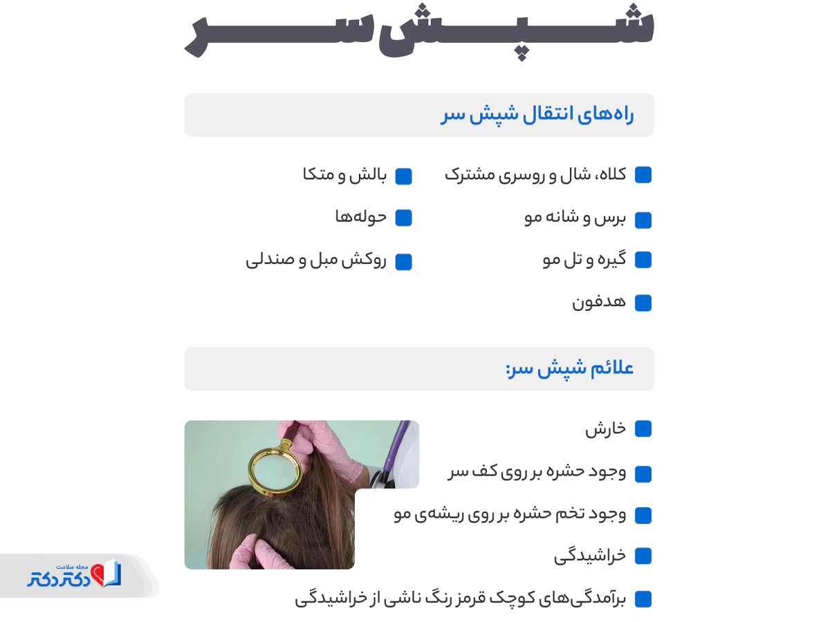 نشانه های وجود شپش