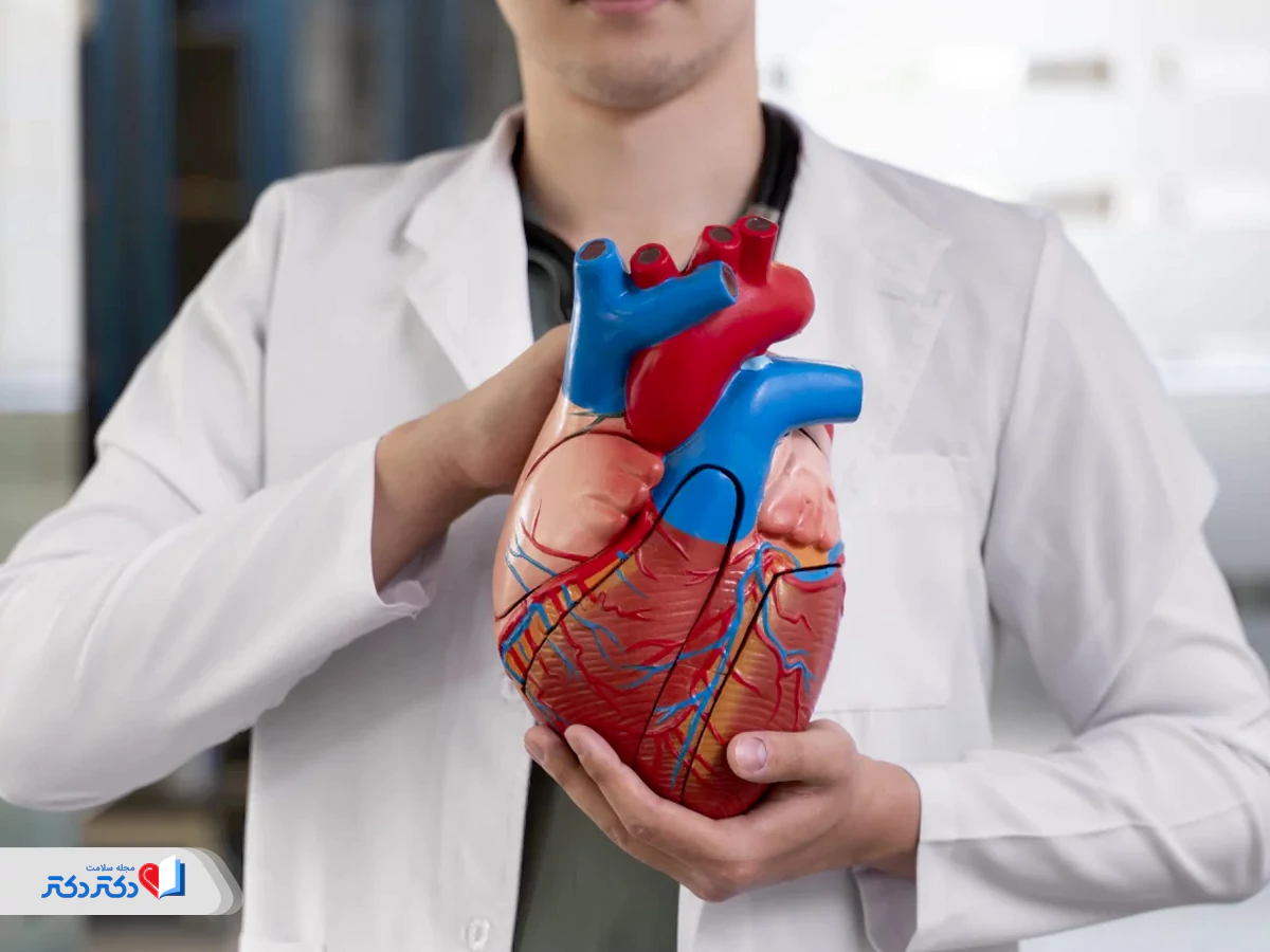 همهچیز درباره کاردیولوژی قلب